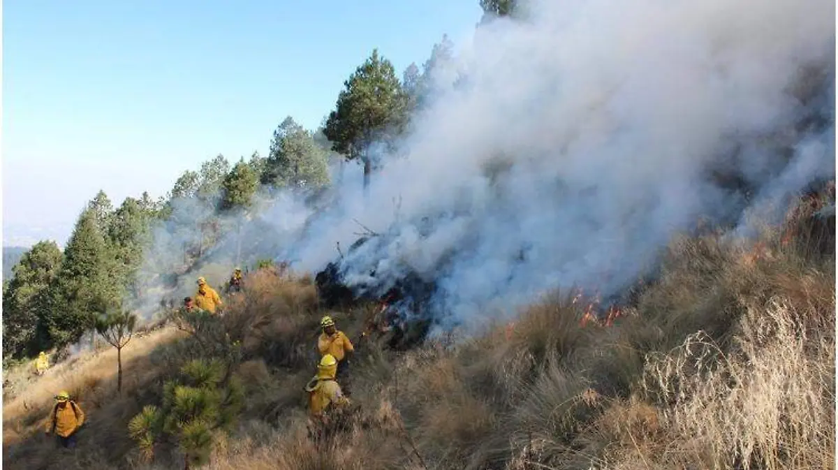 inendio forestal